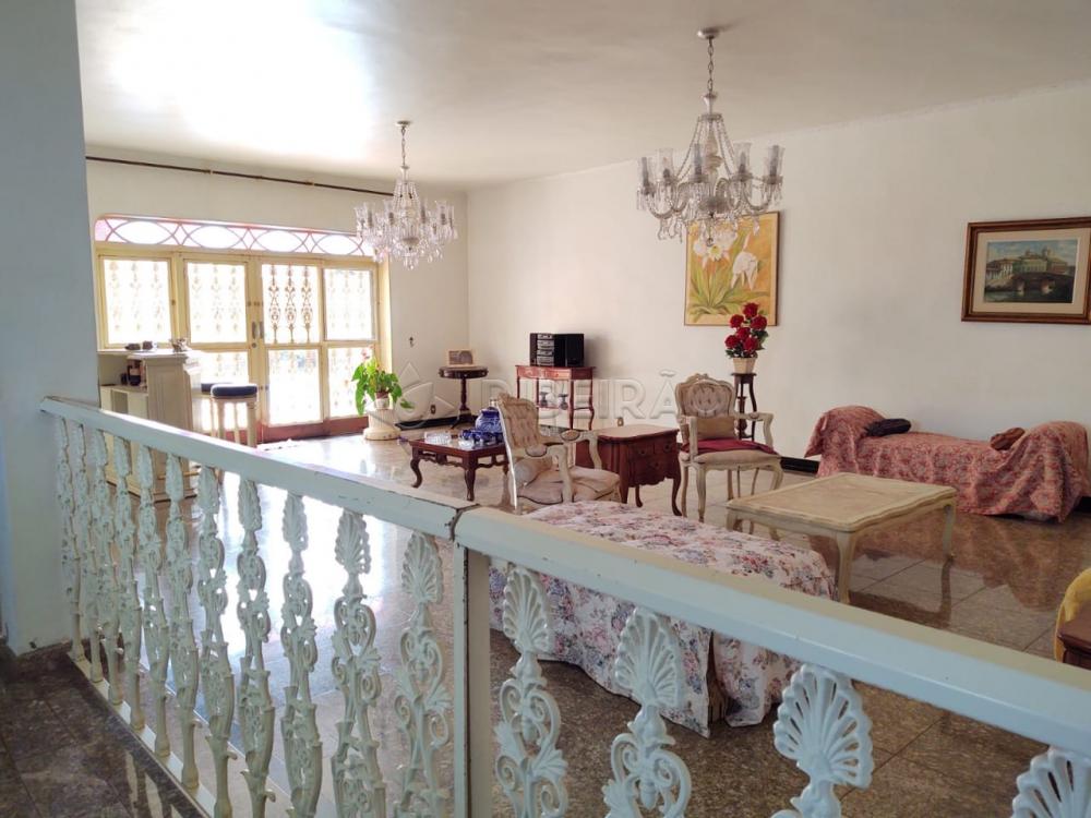 Comprar Casa / Sobrado em Ribeirão Preto apenas R$ 1.500.000,00 - Foto 2 Comprar Casa / Sobrado em Ribeirão Preto apenas R$ 1.500.000,00 - Foto 2