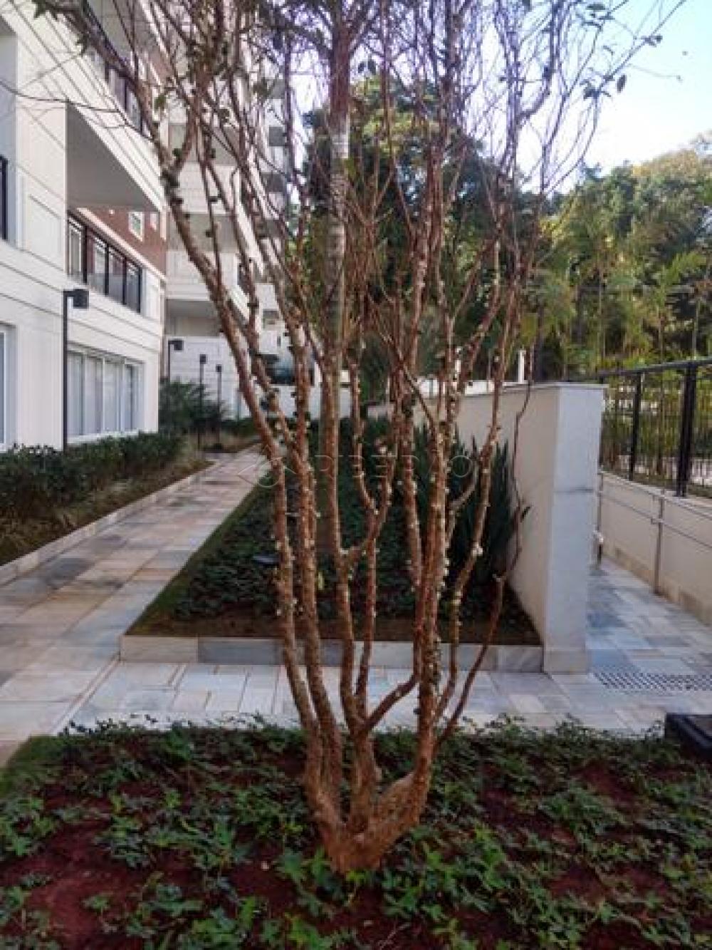Comprar Apartamento / Padrão em Ribeirão Preto apenas R$ 790.000,00 - Foto 12 Comprar Apartamento / Padrão em Ribeirão Preto apenas R$ 790.000,00 - Foto 12