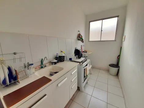Apartamento no Bairro Guaporé com 02 dormitórios, cozinha americana, 01 vaga de garagem.