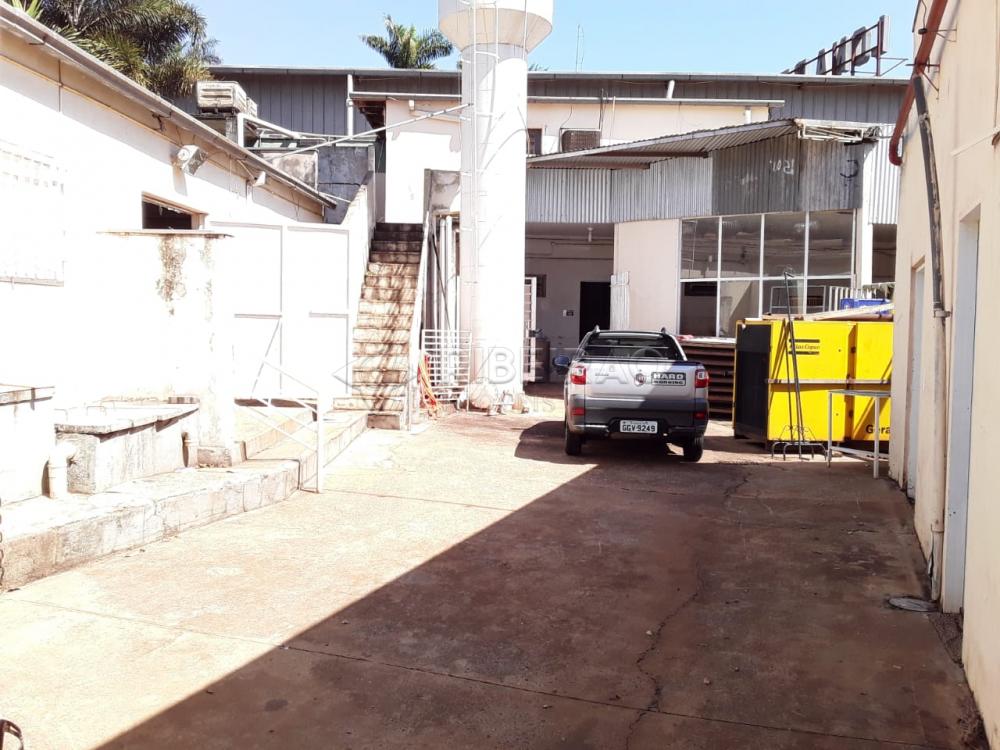 Alugar Comercial / imóvel comercial em Ribeirão Preto apenas R$ 18.000,00 - Foto 31 Alugar Comercial / imóvel comercial em Ribeirão Preto apenas R$ 18.000,00 - Foto 31