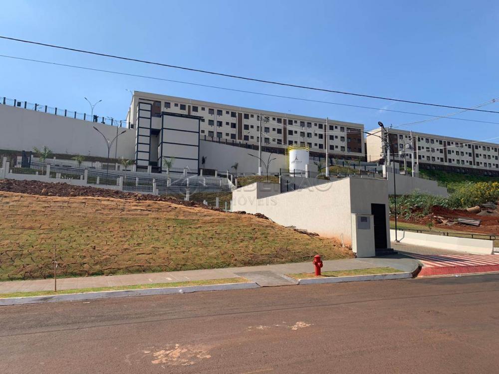 Alugar Apartamento / Padrão em Bonfim Paulista apenas R$ 550,00 - Foto 4 Alugar Apartamento / Padrão em Bonfim Paulista apenas R$ 550,00 - Foto 4