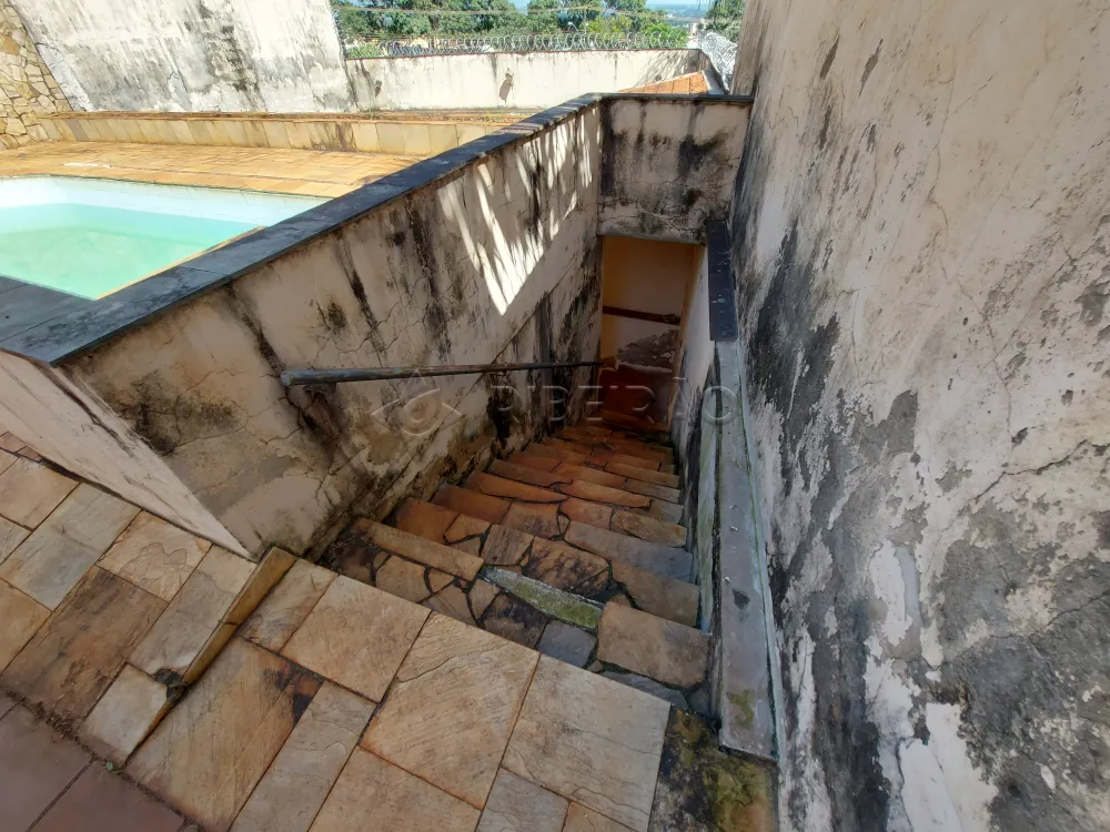 Alugar Casa / Misto em Ribeirão Preto R$ 8.000,00 - Foto 34