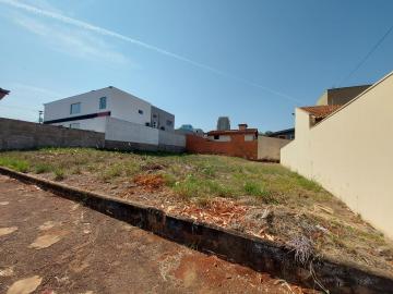 imagem 3 - Terreno - Residencial imagem 3 - Terreno - Residencial