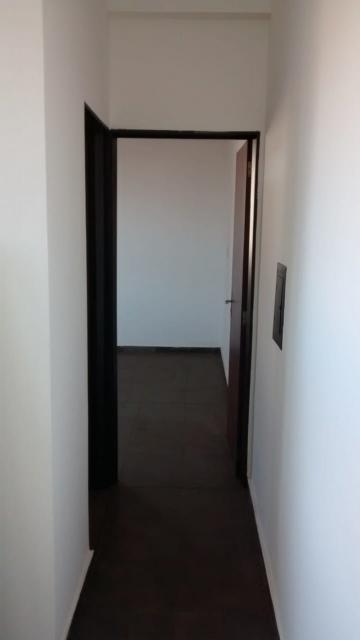 imagem 3 - Apartamento - Padrão imagem 3 - Apartamento - Padrão