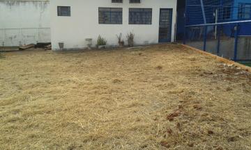 imagem 3 - Imóvel comercial no Bairro Jd. Palma Travassos, escritório com portas de blindex, banheiro e copa, wcs feminino e masculino. imagem 3 - Imóvel comercial no Bairro Jd. Palma Travassos, escritório com portas de blindex, banheiro e copa, wcs feminino e masculino.