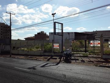 imagem 1 - Imóvel comercial no Bairro Jd. Palma Travassos, escritório com portas de blindex, banheiro e copa, wcs feminino e masculino. imagem 1 - Imóvel comercial no Bairro Jd. Palma Travassos, escritório com portas de blindex, banheiro e copa, wcs feminino e masculino.