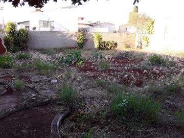 imagem 5 - Terreno - Residencial imagem 5 - Terreno - Residencial
