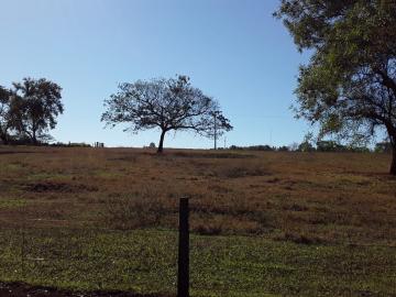 Ribeirao Preto Jardim Manoel Penna Area Venda R$115.000.000,00  Area do terreno 178000.00m2 