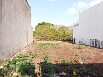 imagem 2 - Terreno - Residencial imagem 2 - Terreno - Residencial