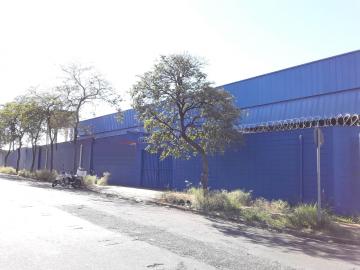 imagem 3 - Lote na Av. Presidente Castelo Branco para locação imagem 3 - Lote na Av. Presidente Castelo Branco para locação
