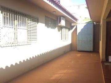 Casa térrea para venda - 3 Dormitórios e 2 vagas de garagem no bairro Jardim Paulistano