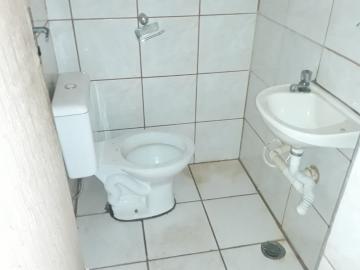 imagem 5 - Comercial - Loja imagem 5 - Comercial - Loja