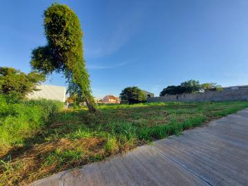 Terreno plano com 370,30 m² para locação