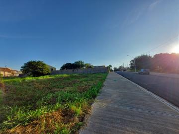 imagem 5 - Terreno plano com 370,30 m² para locação imagem 5 - Terreno plano com 370,30 m² para locação