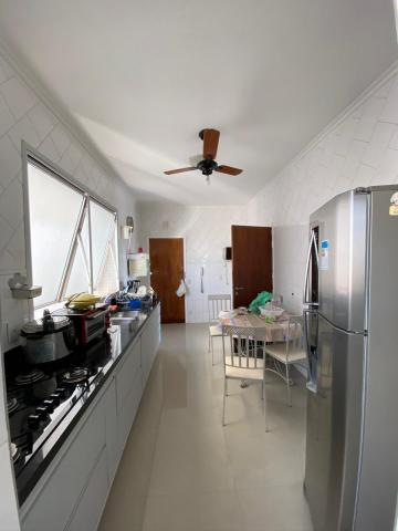 imagem 5 - Apartamento 3 dormitórios Centro imagem 5 - Apartamento 3 dormitórios Centro