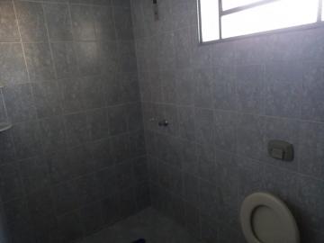 Alugar Casa / Padrão em Ribeirão Preto R$ 1.600,00 - Foto 8 Alugar Casa / Padrão em Ribeirão Preto R$ 1.600,00 - Foto 8