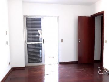 Apartamento 3 dormitórios para venda Centro Ribeirão Preto