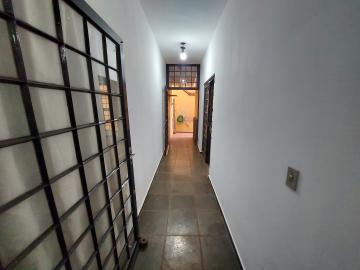 imagem 2 - Apartamento para locação e vanda 3 dormitórios 1 vaga no Lagoinha imagem 2 - Apartamento para locação e vanda 3 dormitórios 1 vaga no Lagoinha