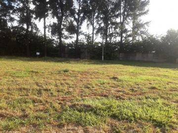 imagem 4 - Terreno a venda Jardim Canadá parte fechada imagem 4 - Terreno a venda Jardim Canadá parte fechada