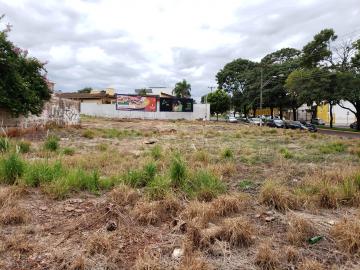 Lotes comerciais para locação na Avenida Professor João Fiúsa