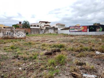 Lotes comerciais para locação na Avenida Professor João Fiúsa