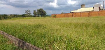 Alugar Terreno / Condomínio em Ribeirão Preto. apenas R$ 605.000,00