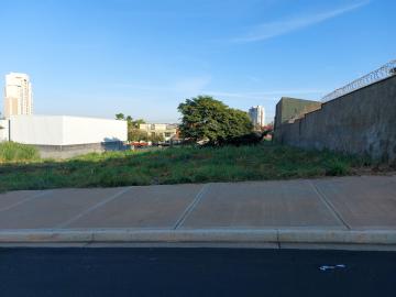 imagem 1 - Terreno de 370 m² para locação no Alto da Boa Vista quadra com Cel Ferreira Leite imagem 1 - Terreno de 370 m² para locação no Alto da Boa Vista quadra com Cel Ferreira Leite