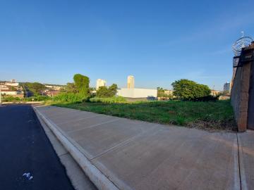 imagem 3 - Terreno de 370 m² para locação no Alto da Boa Vista quadra com Cel Ferreira Leite imagem 3 - Terreno de 370 m² para locação no Alto da Boa Vista quadra com Cel Ferreira Leite