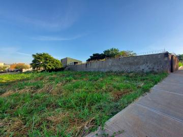 Terreno de 370 m² para locação no Alto da Boa Vista quadra com Cel Ferreira Leite