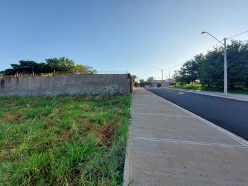 Terreno de 370 m² para locação no Alto da Boa Vista quadra com Cel Ferreira Leite