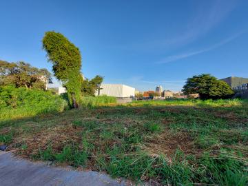 Terreno de 350 m² para locação no Alto da Boa Vista quadra com Cel Ferreira Leite