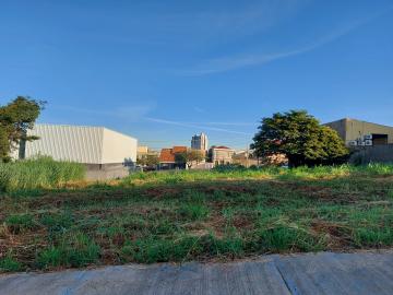 Terreno de 350 m² para locação no Alto da Boa Vista quadra com Cel Ferreira Leite