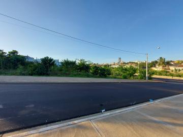 imagem 5 - Terreno de 350 m² para locação no Alto da Boa Vista quadra com Cel Ferreira Leite imagem 5 - Terreno de 350 m² para locação no Alto da Boa Vista quadra com Cel Ferreira Leite