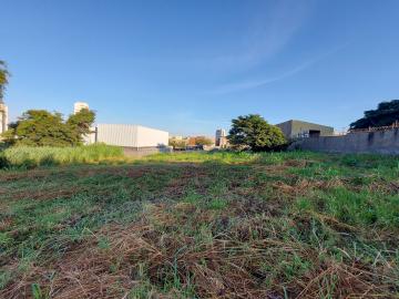 imagem 1 - Terreno com 370 m² locação no Alto da Boa Vista a 70 metros Cel Ferreira Leite imagem 1 - Terreno com 370 m² locação no Alto da Boa Vista a 70 metros Cel Ferreira Leite