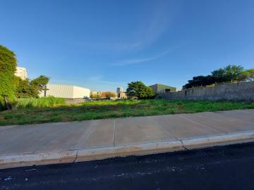 imagem 2 - Terreno com 370 m² locação no Alto da Boa Vista a 70 metros Cel Ferreira Leite imagem 2 - Terreno com 370 m² locação no Alto da Boa Vista a 70 metros Cel Ferreira Leite