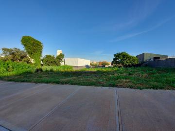 imagem 3 - Terreno com 370 m² locação no Alto da Boa Vista a 70 metros Cel Ferreira Leite imagem 3 - Terreno com 370 m² locação no Alto da Boa Vista a 70 metros Cel Ferreira Leite