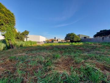 Terreno com 370 m² locação no Alto da Boa Vista a 70 metros Cel Ferreira Leite