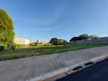 imagem 5 - Terreno com 370 m² locação no Alto da Boa Vista a 70 metros Cel Ferreira Leite imagem 5 - Terreno com 370 m² locação no Alto da Boa Vista a 70 metros Cel Ferreira Leite