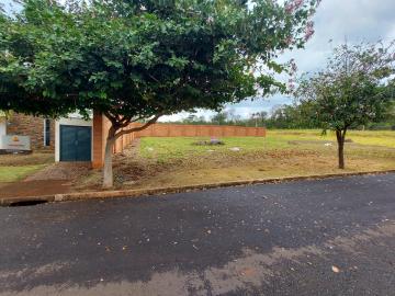 imagem 5 - Terreno para venda Bonfim Paulista imagem 5 - Terreno para venda Bonfim Paulista