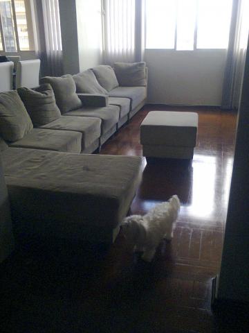imagem 2 - Apartamento 3 dormitórios para venda no Centro imagem 2 - Apartamento 3 dormitórios para venda no Centro