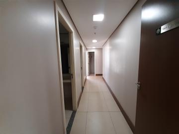 imagem 2 - Laje comercial com 500 m² locação na Ribeirânia imagem 2 - Laje comercial com 500 m² locação na Ribeirânia