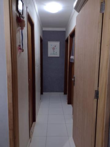 Apartamento para venda 3 dormitórios Lagoinha