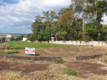 Terreno Residencial Jardim Palmares para venda