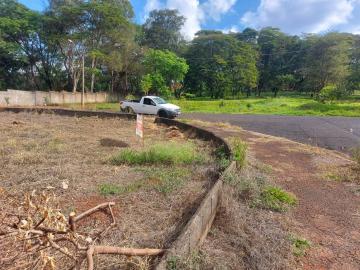 Terreno Residencial Jardim Palmares para venda