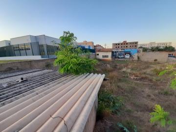 imagem 3 - Terreno de uso misto com 178 m² à venda no Jardim Marchesi imagem 3 - Terreno de uso misto com 178 m² à venda no Jardim Marchesi