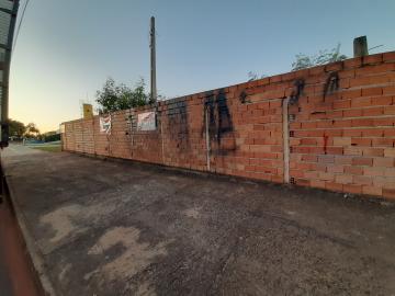 imagem 5 - Terreno de 178 m² uso misto à venda no Jardim Marchesi imagem 5 - Terreno de 178 m² uso misto à venda no Jardim Marchesi