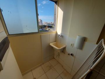 imagem 3 - Apartamento para venda 03 dormitórios 02 vagas no Nova Aliança imagem 3 - Apartamento para venda 03 dormitórios 02 vagas no Nova Aliança