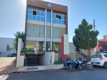 imagem 1 - Sala comercial 27 m² ar condicionado para locação no Jd. Sumaré imagem 1 - Sala comercial 27 m² ar condicionado para locação no Jd. Sumaré