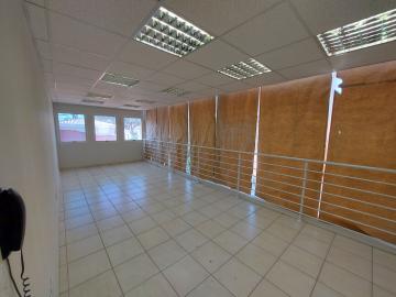 Alugar Comercial / Sala em Ribeirão Preto. apenas R$ 1.250,00