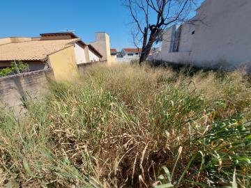 Terreno para venda Ribeirânia